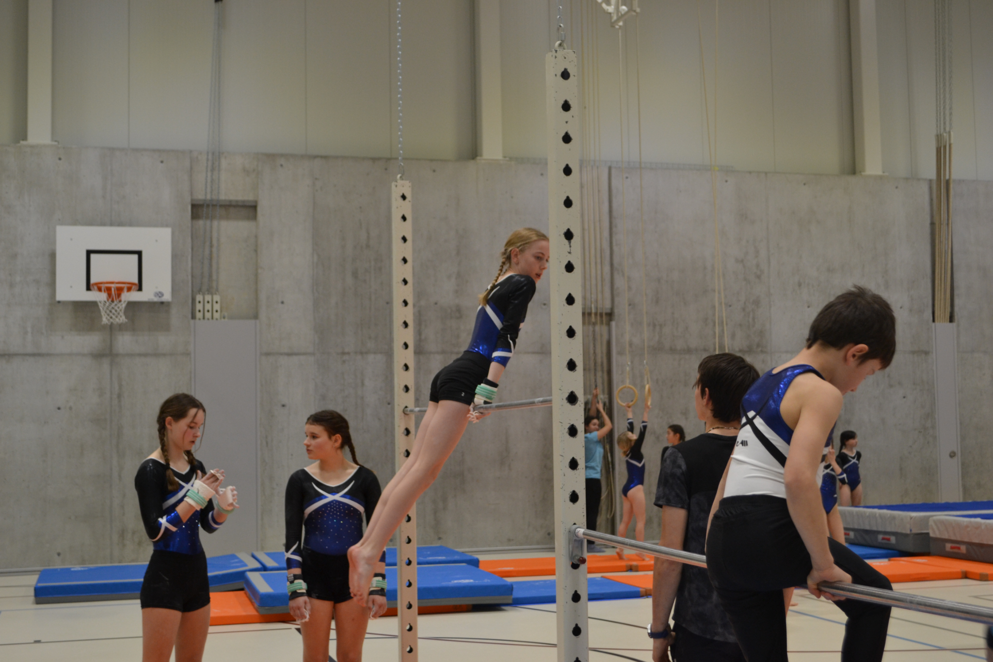 Bild1 (37)